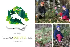 Sto Industrie pflanzt 150 Bäume zum KlimaSchutzTag